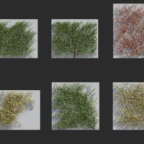 现代花草花卉3D模型下载
